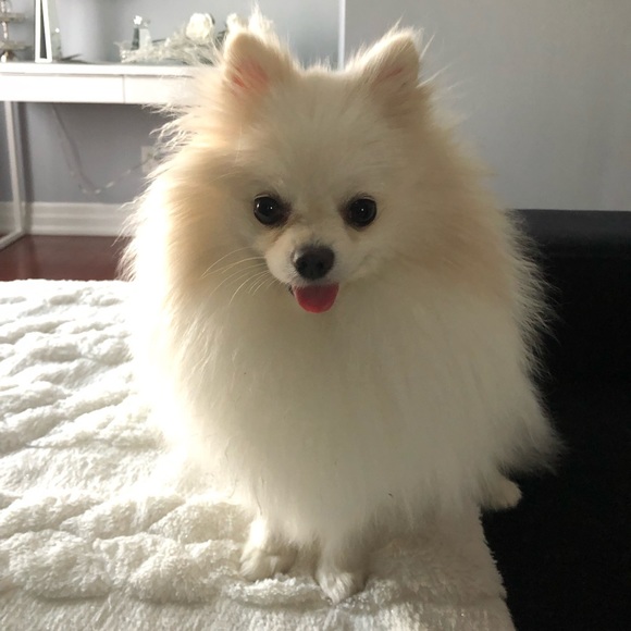 Meet your Posher, Alexandra - Picture 1 of 1